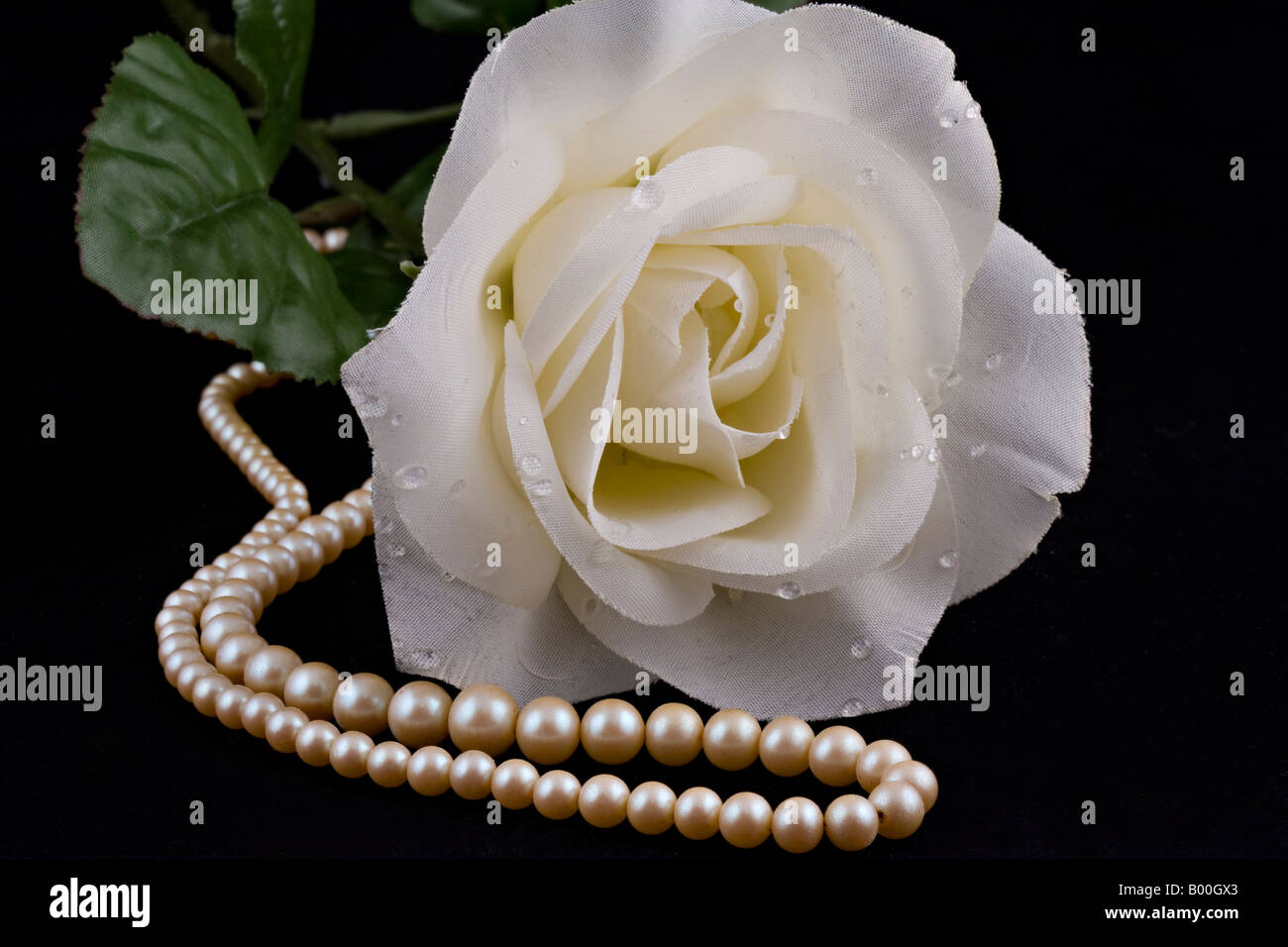 GORGEOUS FLOWER WHITE OYSTER MOTHER OF PEARL SHELL BLACK ROPE necklace 