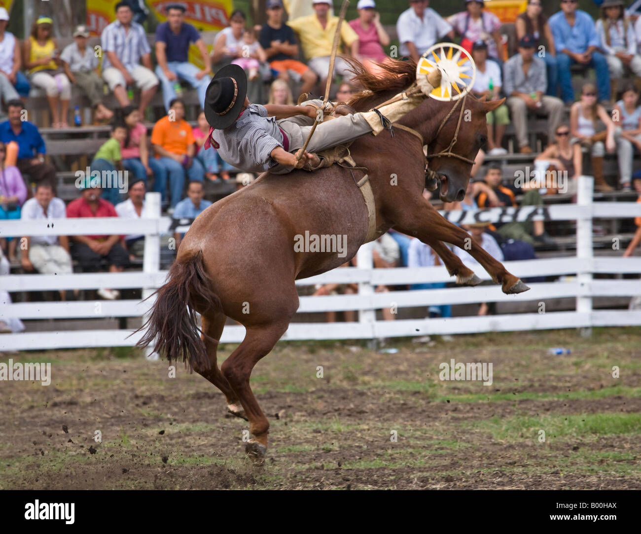 rodeo horse Uruguay fiesta gaucho cow-boy cowboy Stock Photo - Alamy