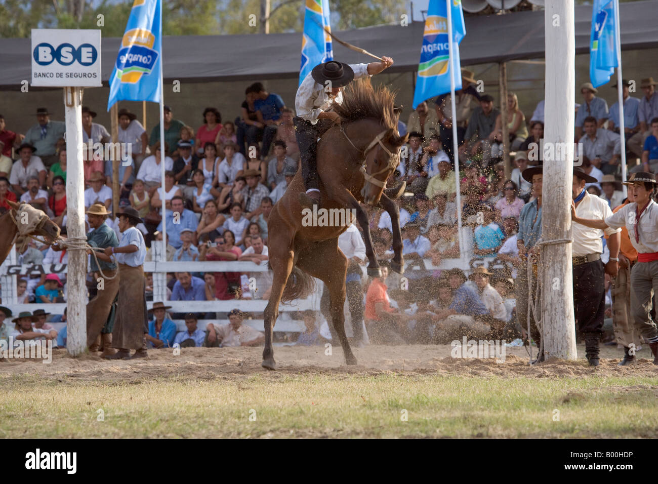 rodeo horse Uruguay fiesta gaucho cow-boy cowboy Stock Photo - Alamy
