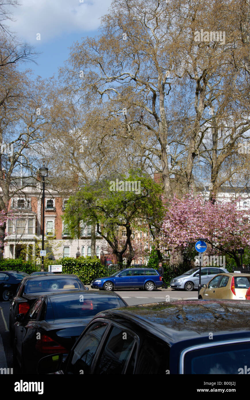 View of private garden in Manchester Square London Stock Photo