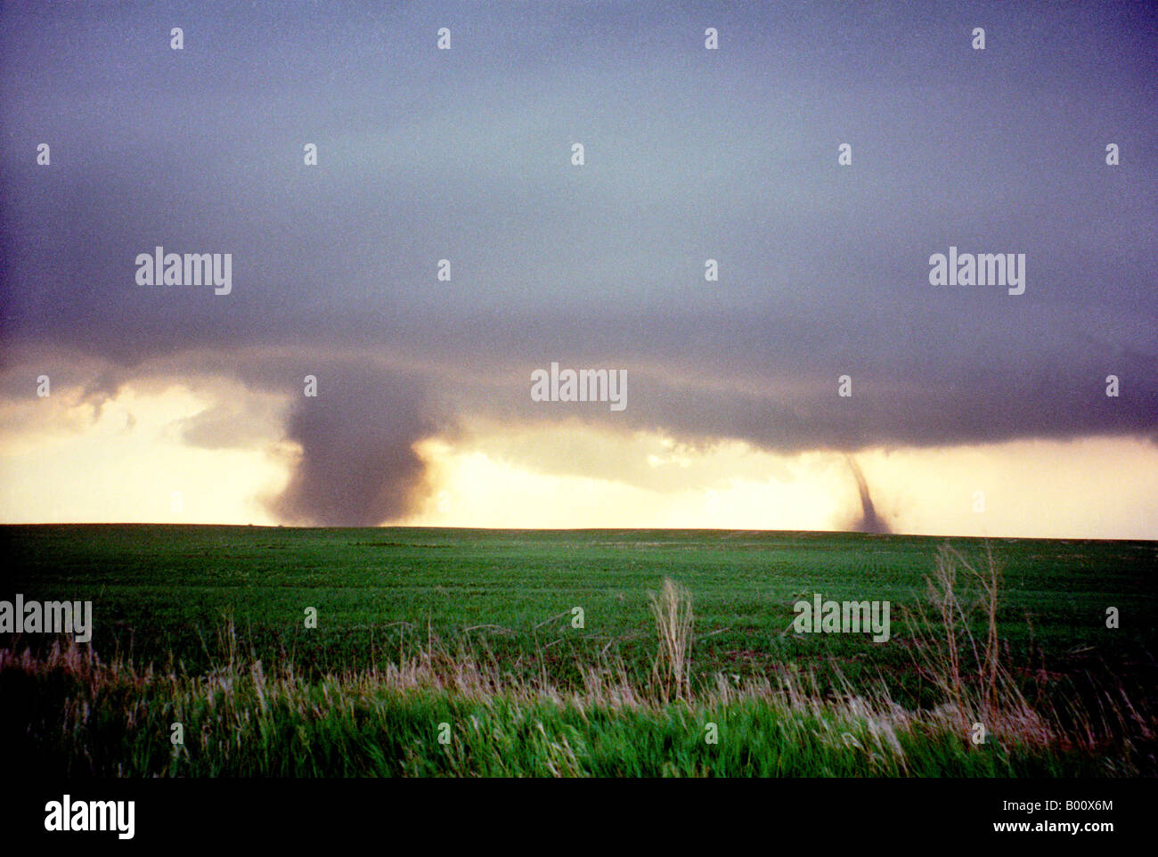 June 23d 2002:  Two tornadoes churn across the South Dakota prairie as the setting sun provides a golden backdrop. Stock Photo