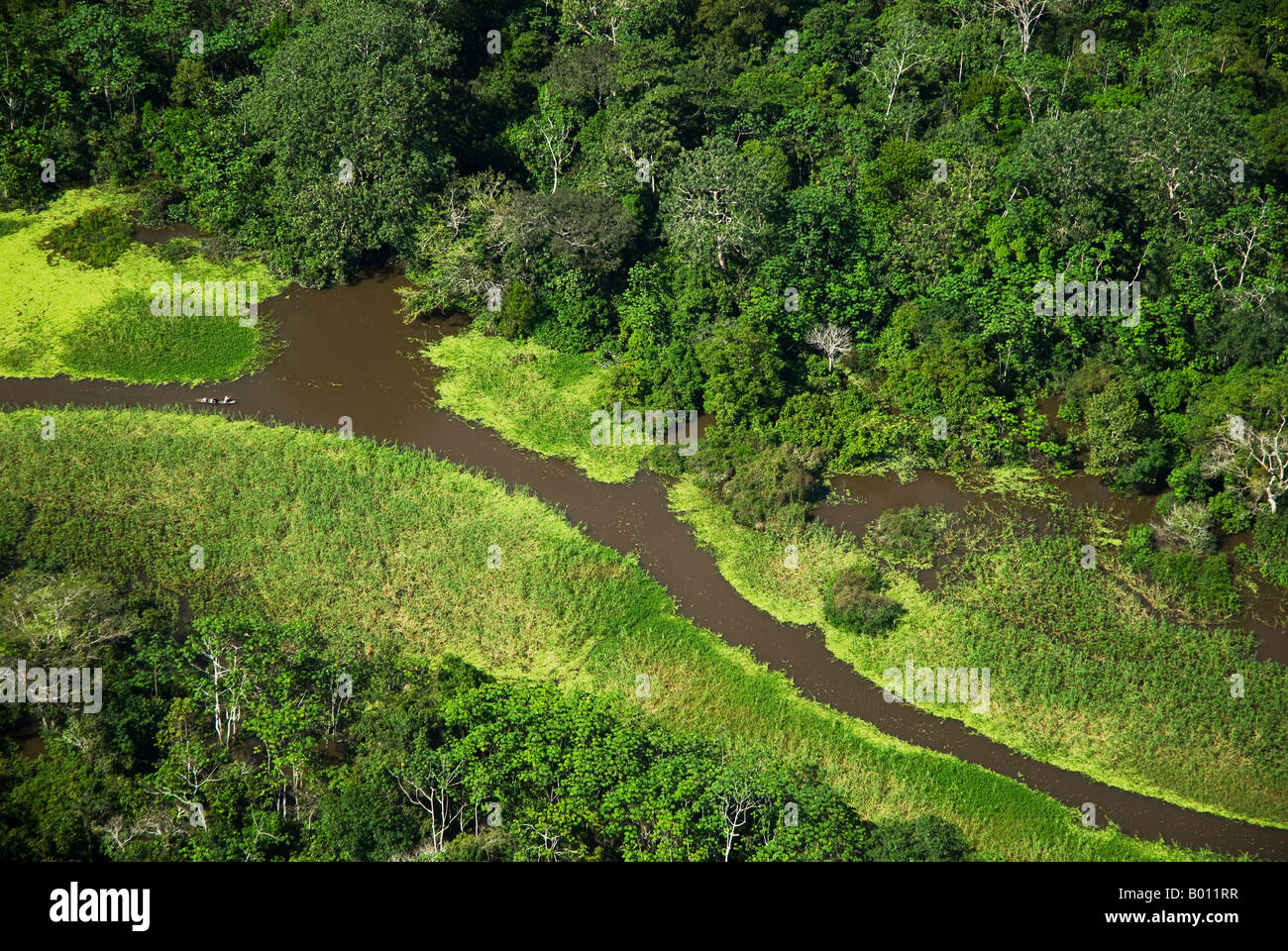 Peru, Amazon, Amazon River. Aerial view of the rainforest near Iquitos