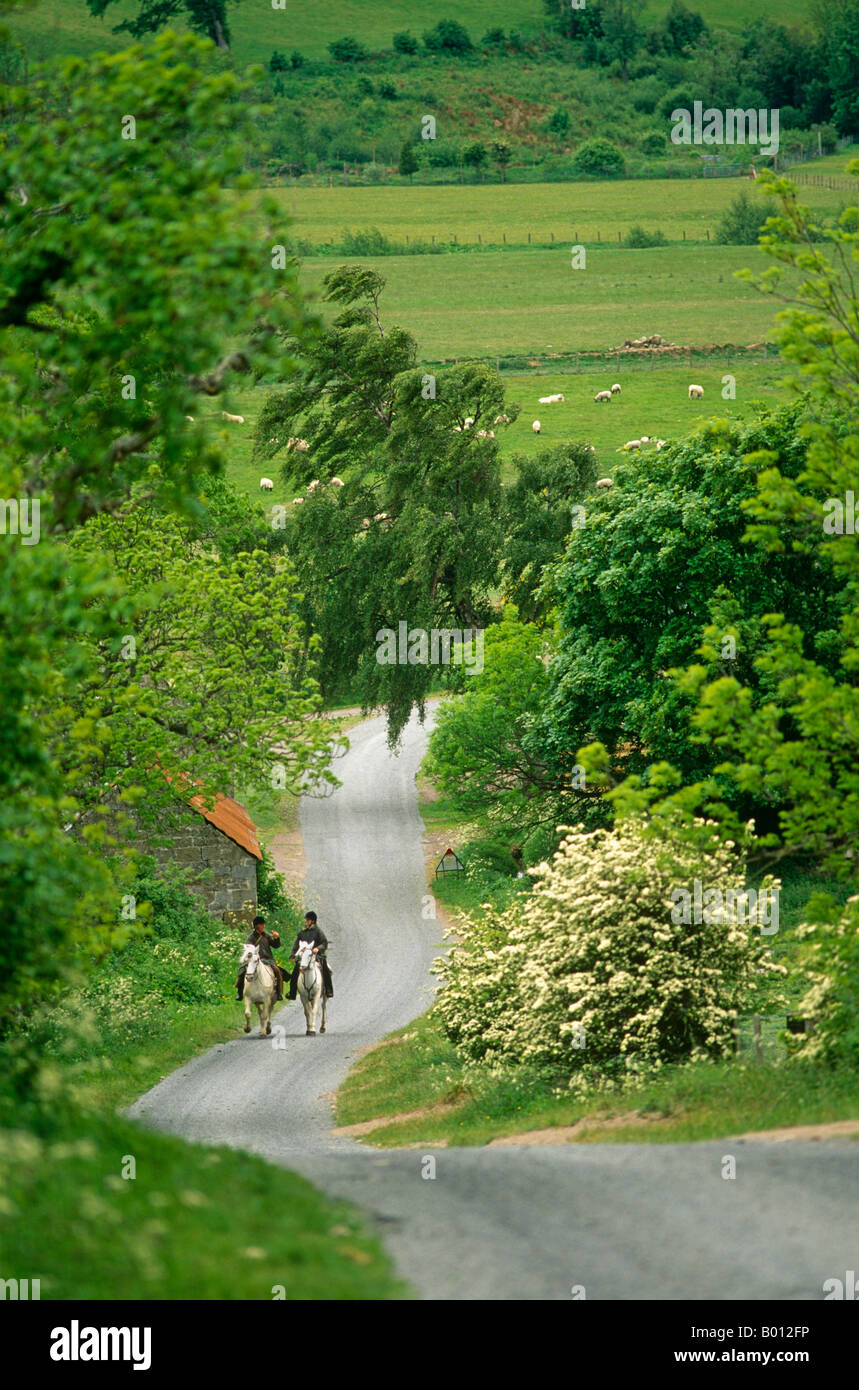 Horseriding uk countryside hi-res stock photography and images - Alamy