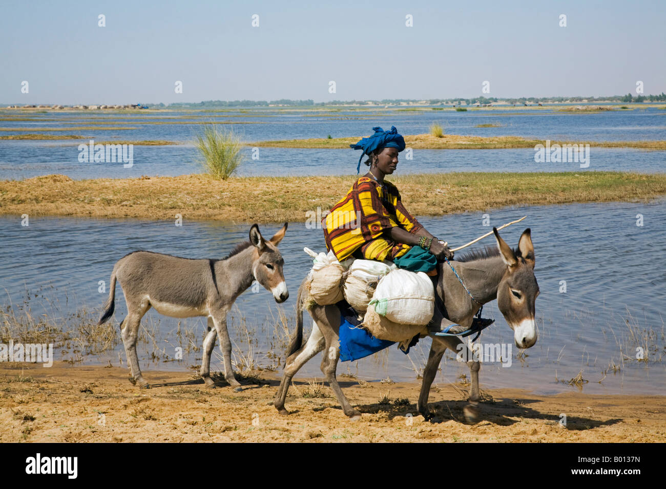 Having a donkey ride hi-res stock photography and images - Alamy
