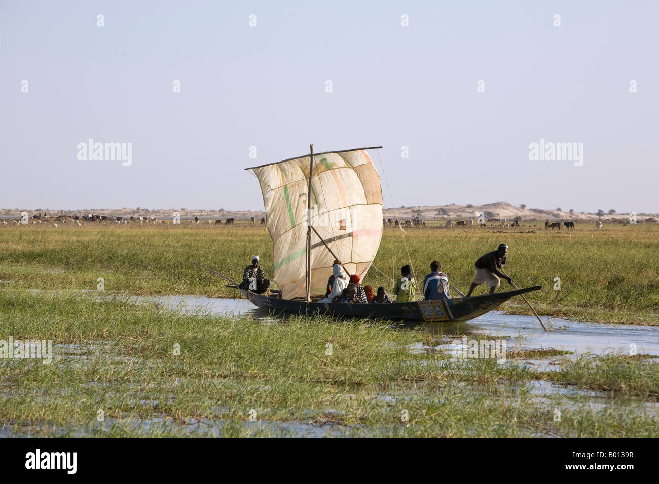 Mali, Niger Inland Delta. Helped by a crude sail, a boatman poles a pirogue full of passengers through a grassy channel. Stock Photo
