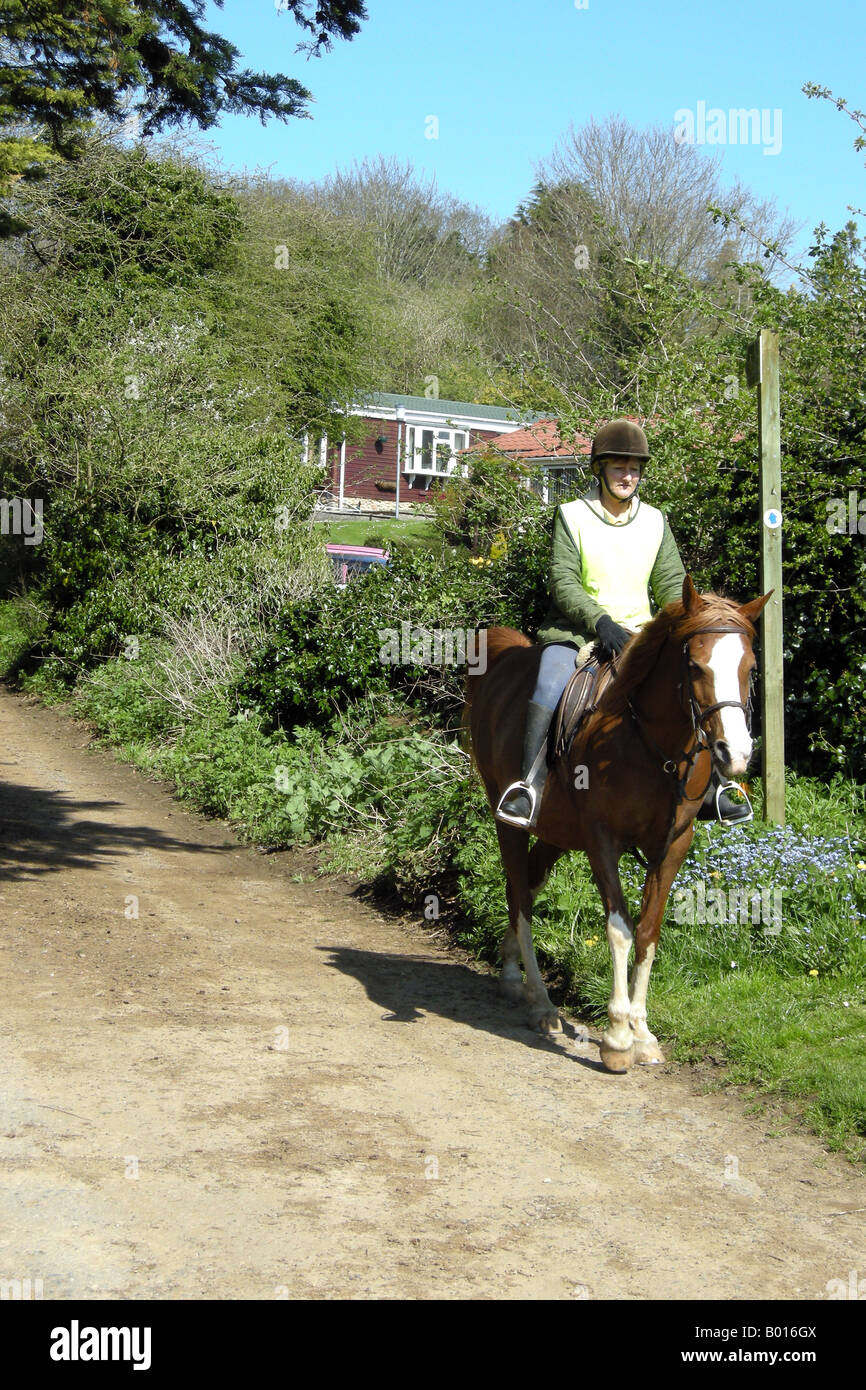 A female riding a horse along a bridle path in rural Dorset Stock Photo