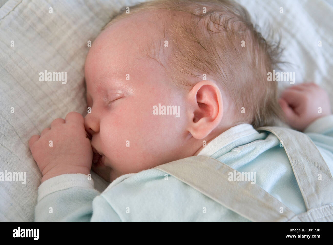 Baby sleeping on his belly Stock Photo Alamy