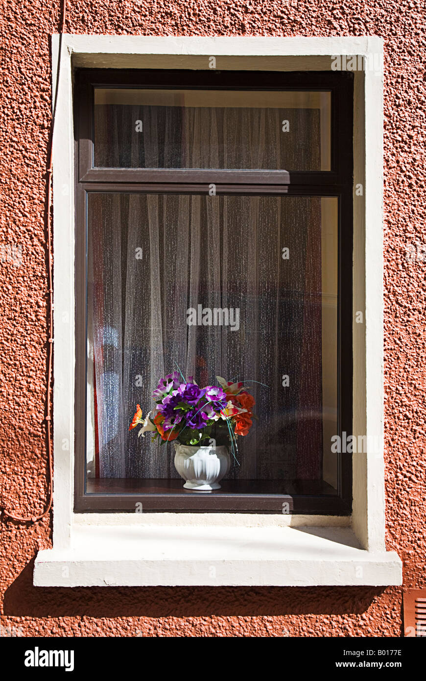 Window with flowers in Cork Ireland Stock Photo