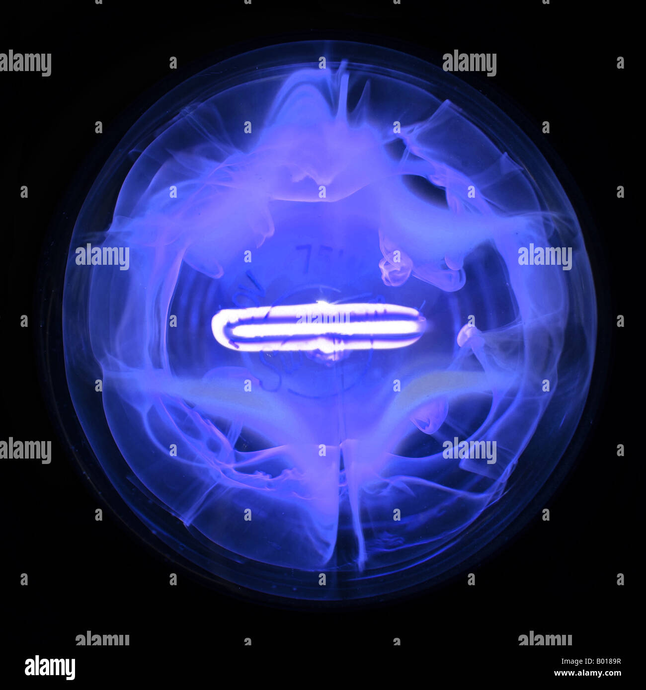 Color photo of light bulb burning out with smoke trapped in glass Stock