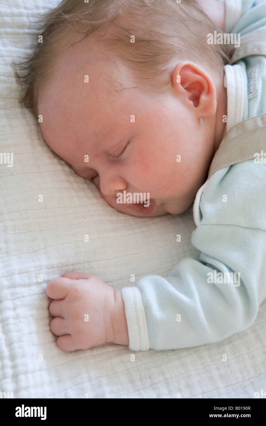 Baby sleeping on his belly Stock Photo Alamy
