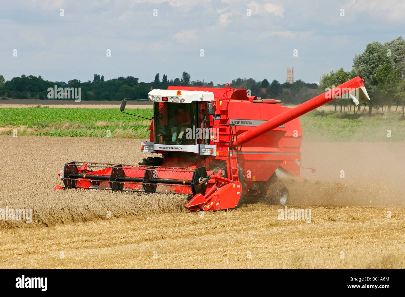 A Combine Harvester at work near Ely, Cambridgeshire, England Stock