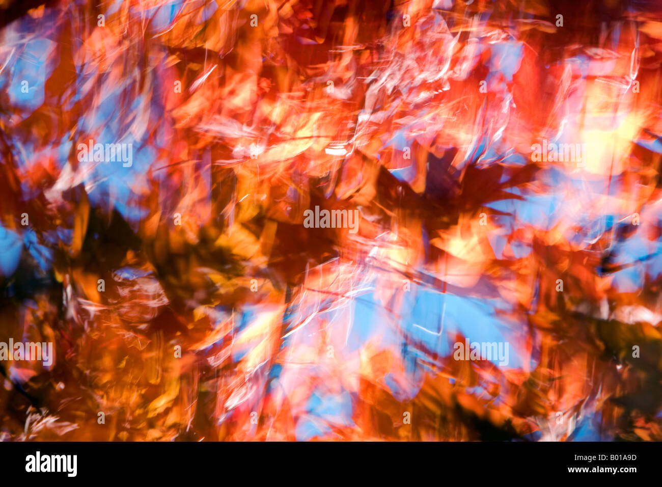 Autumn leaves blowing in the wind Stock Photo Alamy