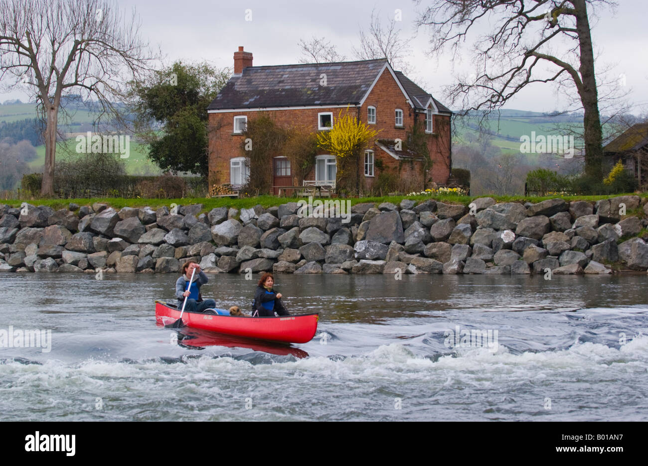River Wye at The Warren in Hay on Wye Powys Wales UK EU with canoeist and house on riverbank Stock Photo