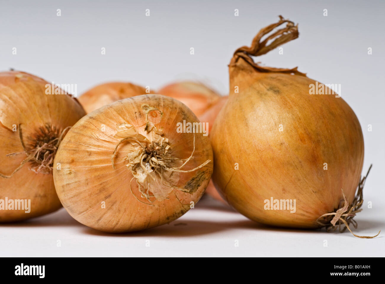 Onion pile hi-res stock photography and images - Alamy