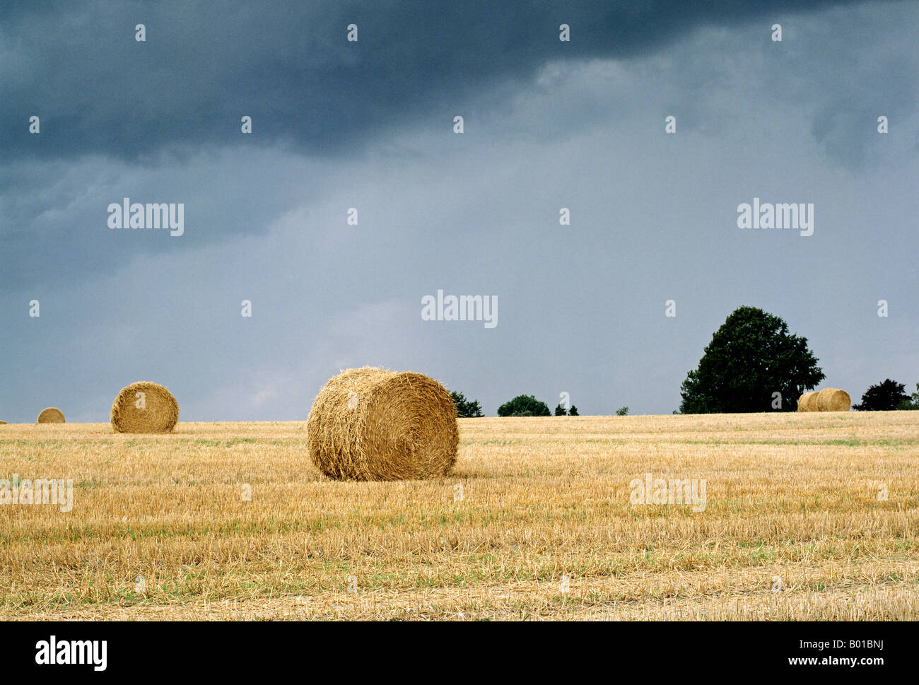 Straw Bails Sussex England UK Europe Stock Photo Alamy