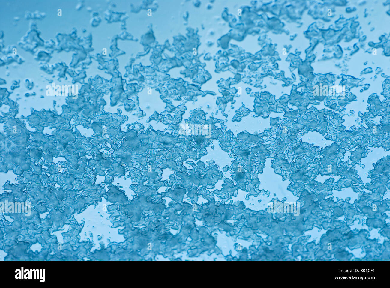 Stock photo of sleet on a window Stock Photo