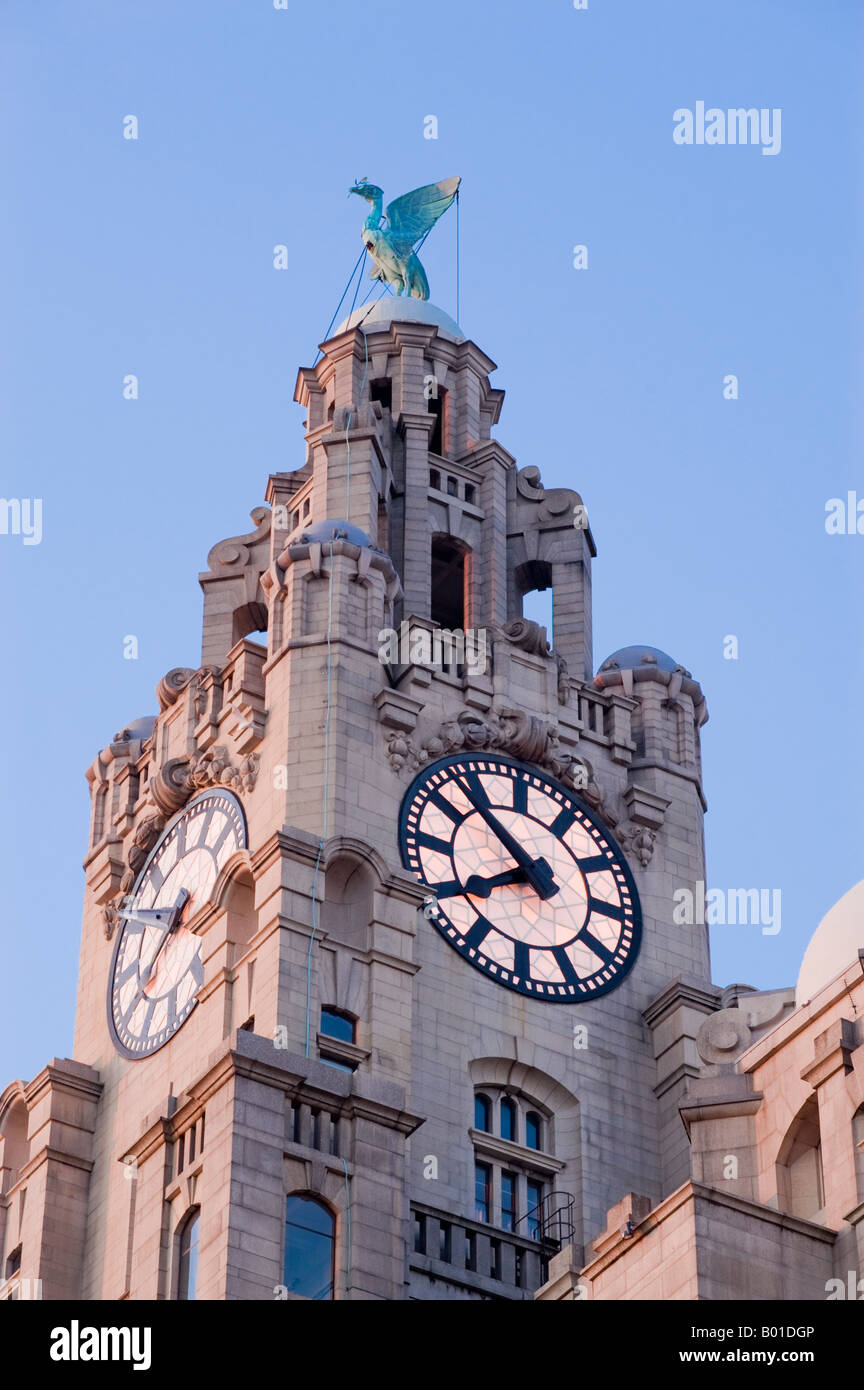 Royal Liver building in Liverpool, England, UK. Stock Photo