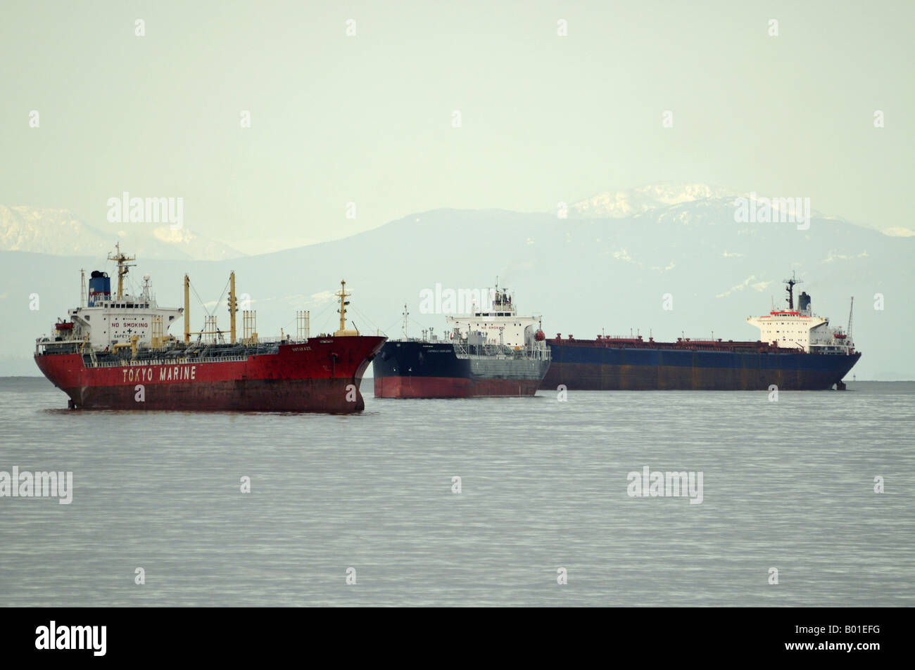 Tankers 'Hatakaze' and 'Chembulk Virgin Gorda' in Burrard Bay North Vancouver B.C. Canada Stock Photo