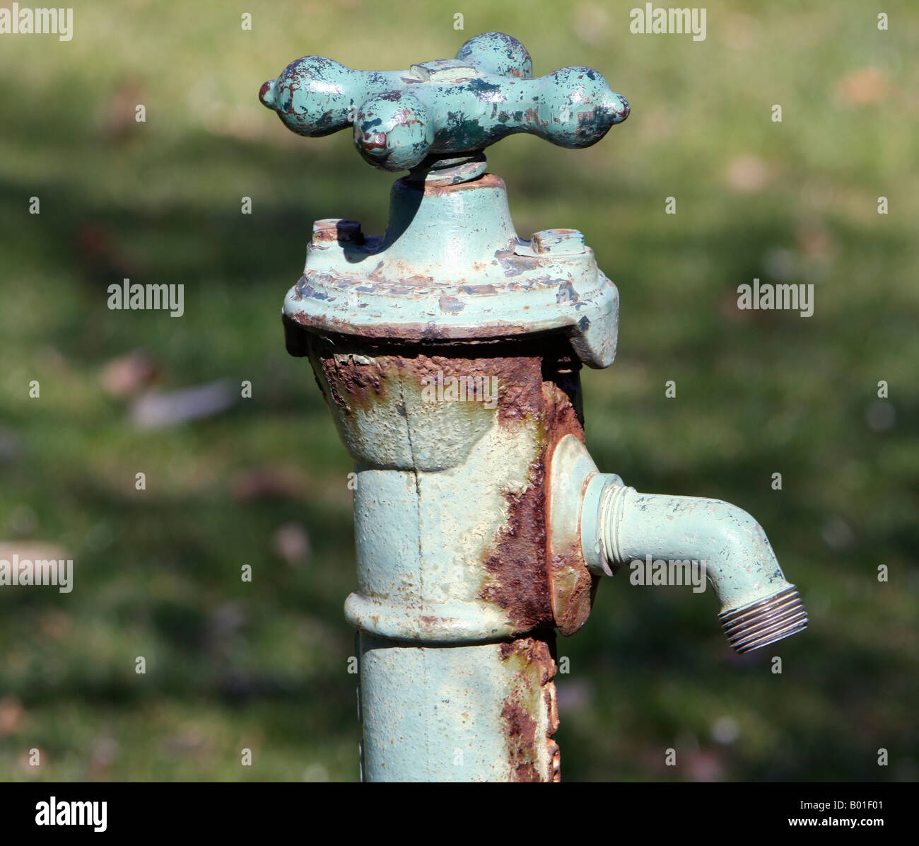 An old Victorian Garden spigot tap Stock Photo Alamy