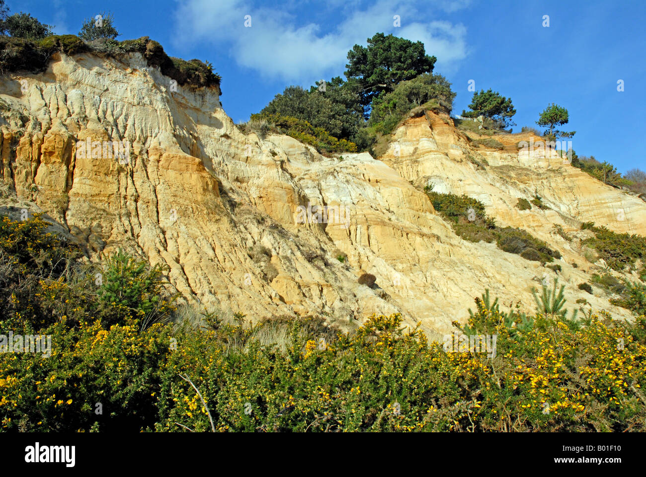 Eroding sandstone cliffs at Bournemouth Dorset Stock Photo