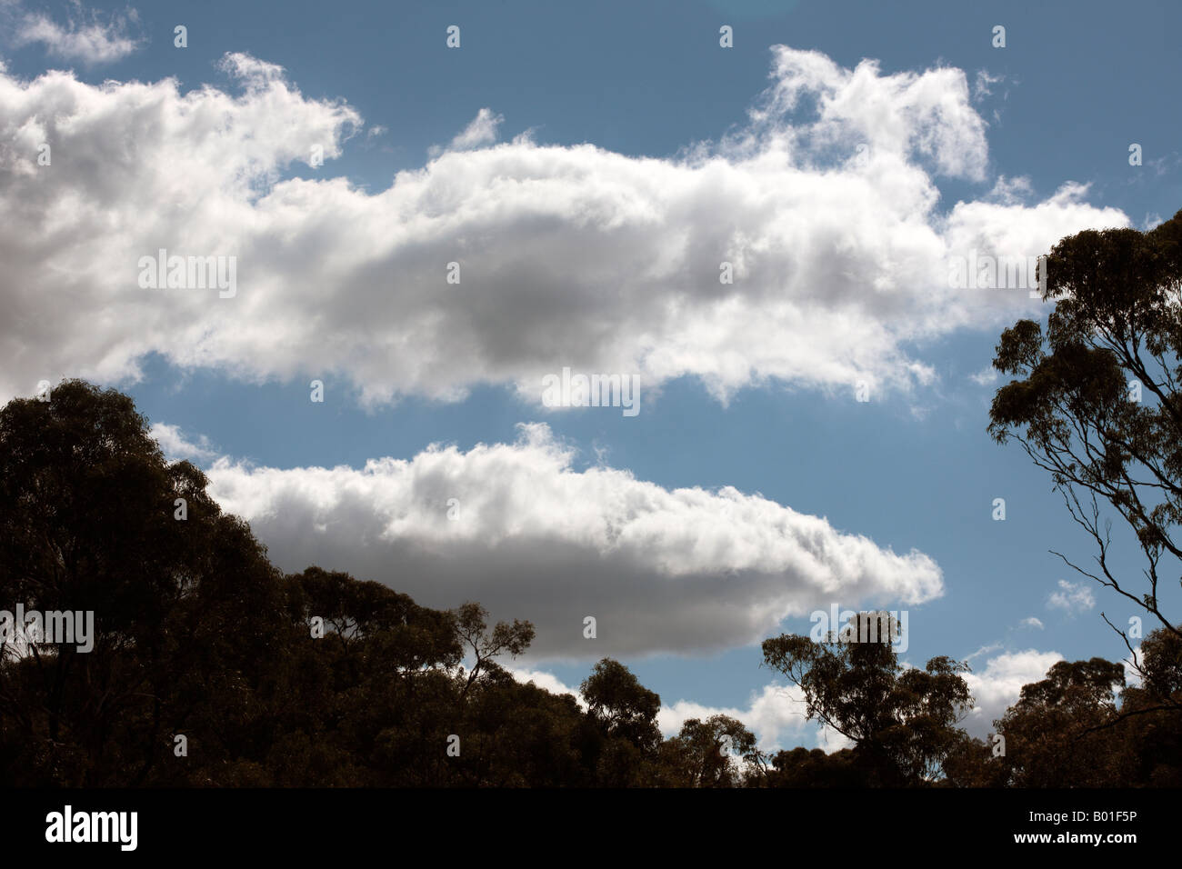 Stratocumulus Clouds Stock Photo