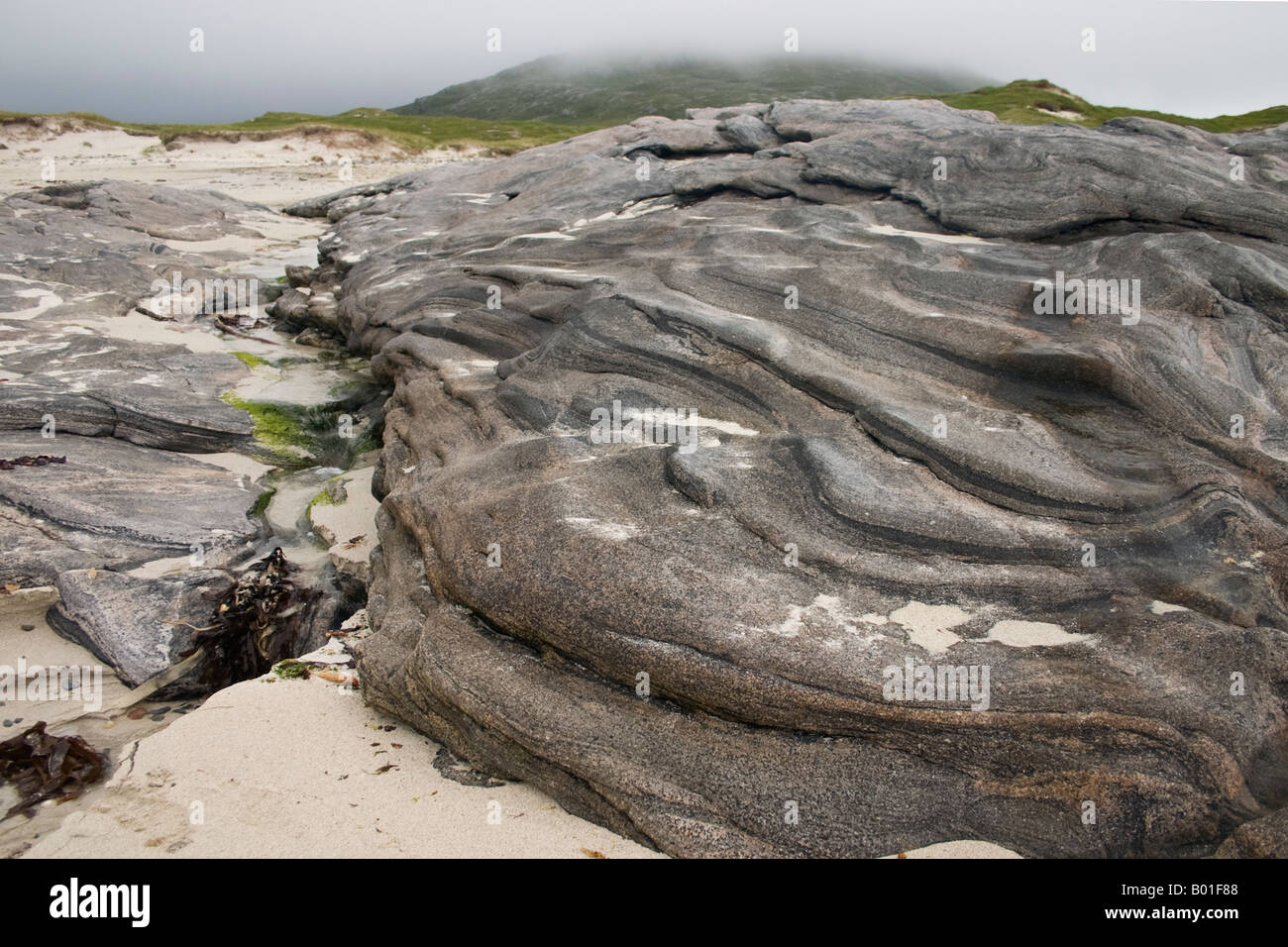 Metamorphic Beach Rocks Metamorphic coastline hi-res stock photography and images - Alamy