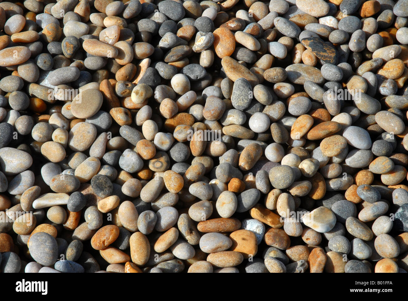 Stones on Chesil Beach Dorset Stock Photo Alamy