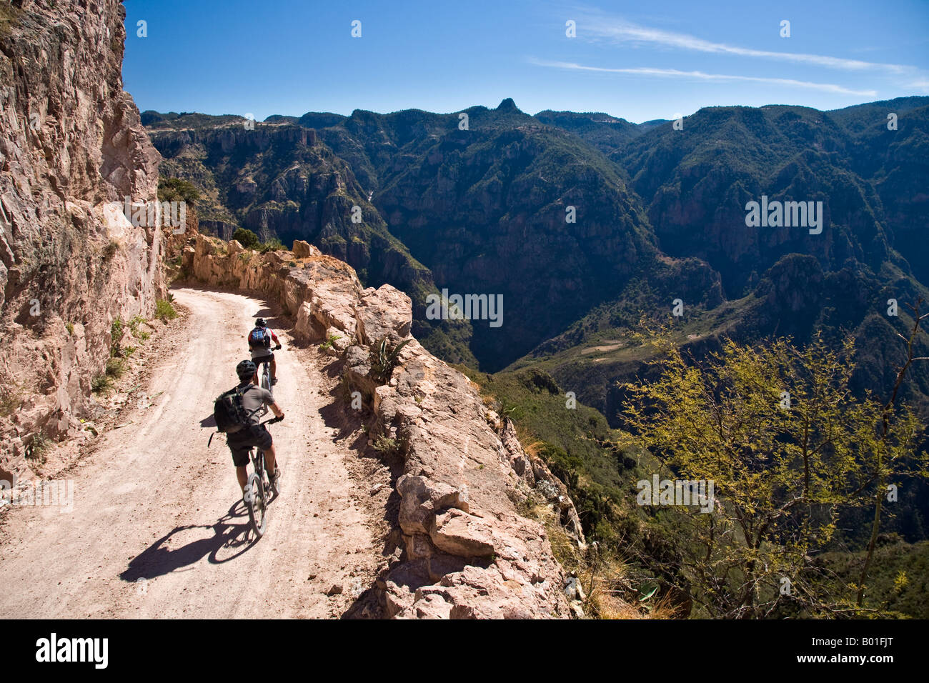 Eric Proano and Enrique Cruz mountain biking down the road to Batopilas Copper Canyon Mexico Stock Photo