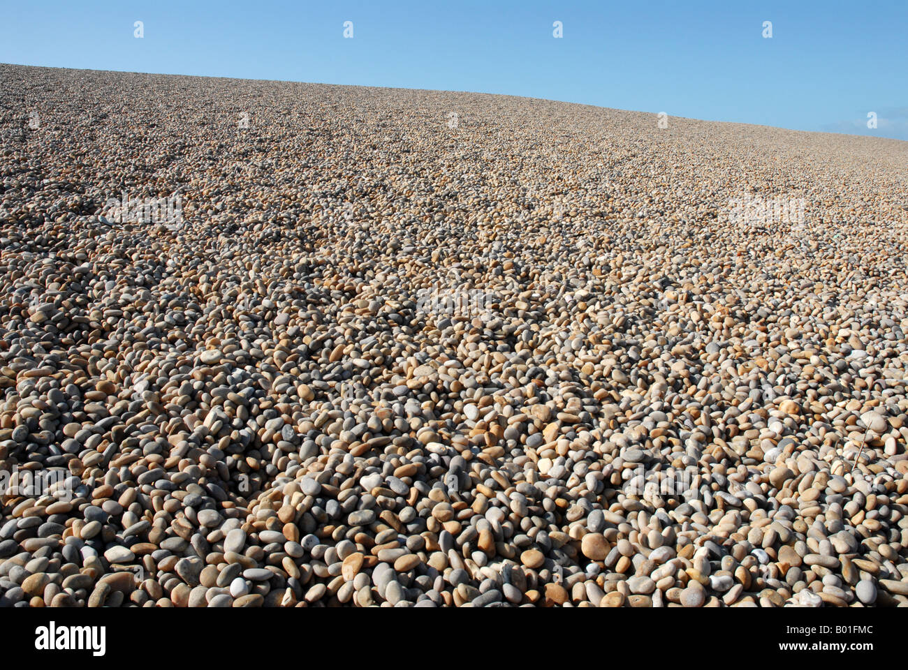 Stones on Chesil Beach Dorset Stock Photo Alamy