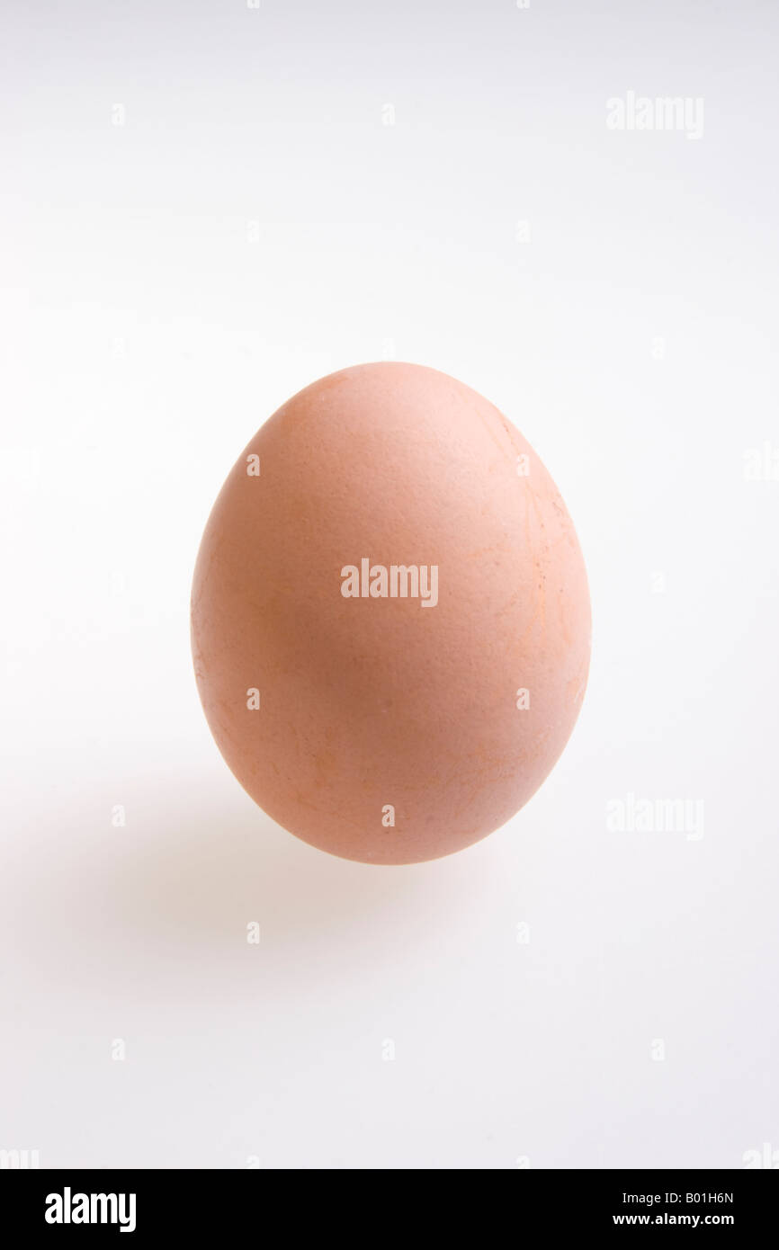 Free range egg Stock Photo