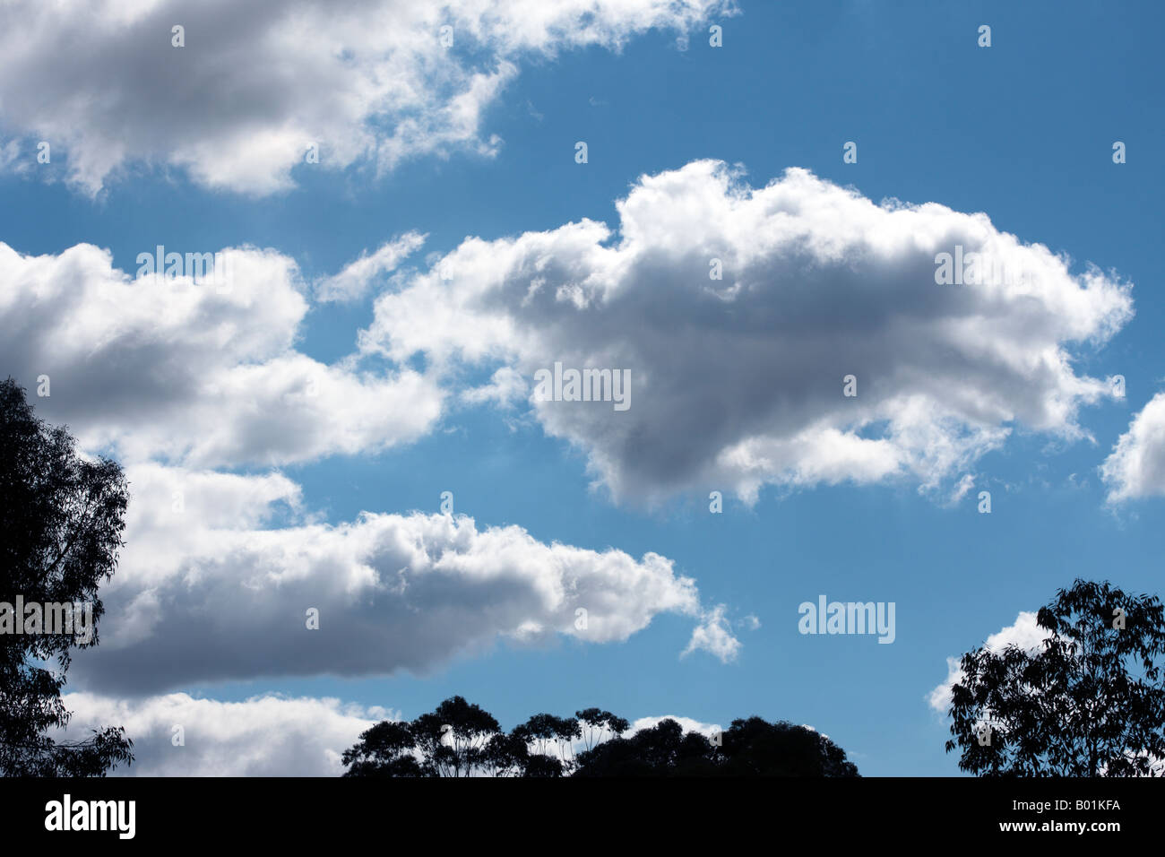 Cumulus Cloud Stock Photo