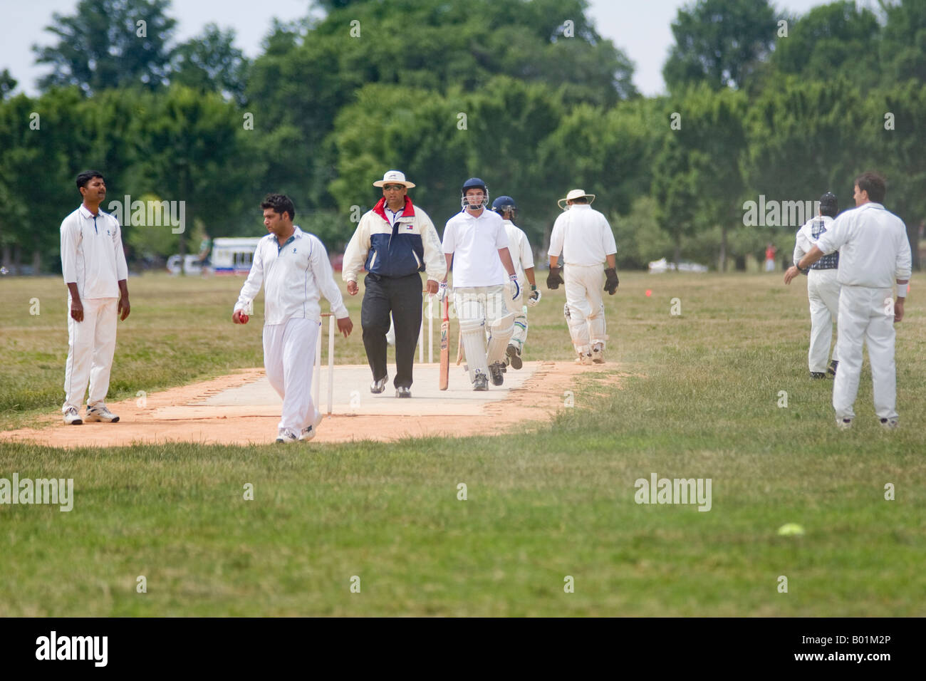 Cricket players playing cricket in Washington, D.C., USA Stock Photo