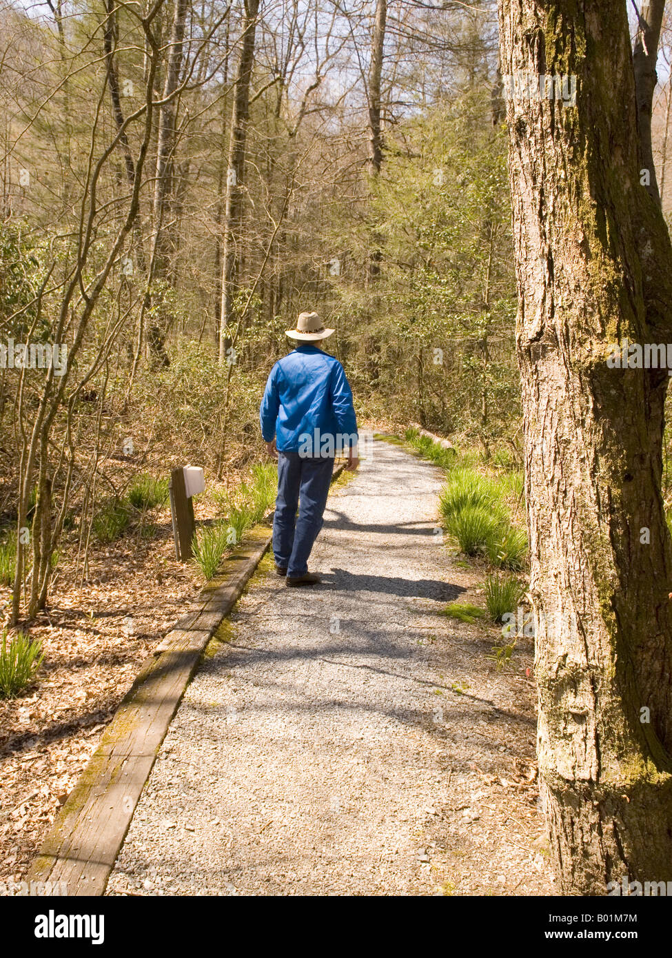 Caucasian Man (50-55) Hikes Trail at Davidson River Campground Near Brevard North Carolina USA Stock Photo