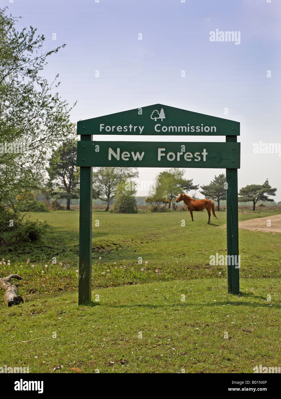 New Forest Sign, Hampshire, England Stock Photo