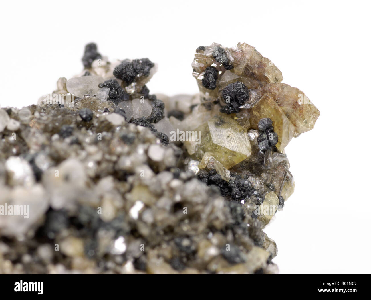 Mineral specimen, Titanite on Muscovite, Radeck Glacier, Ankogl, Tauern, Austria Stock Photo