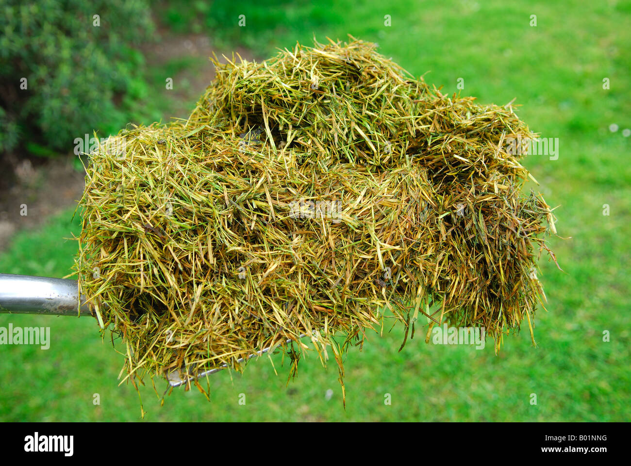 Compost heap clippings hi-res stock photography and images - Alamy