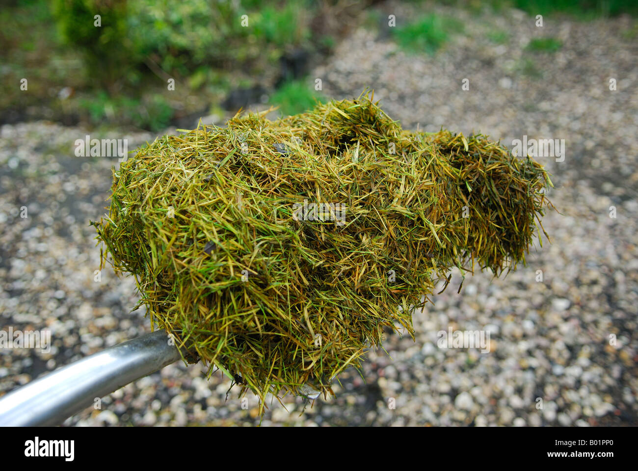 Compost heap clippings hi-res stock photography and images - Alamy