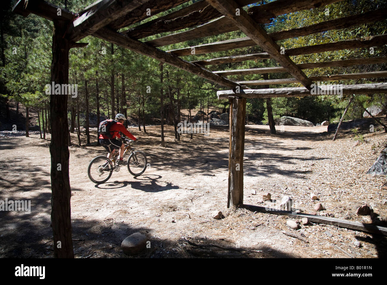 Scott Davis mountain biking in the Cusarare area in the Copper Canyon area Mexico Stock Photo