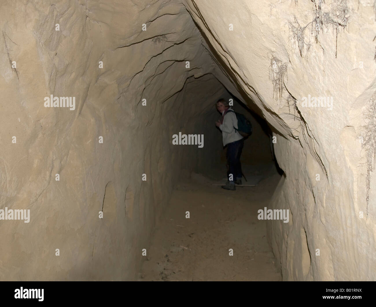 tunnel in accumulation of loess Vogtsburg Bickensohl Kaiserstuhl Baden Württemberg Baden Wuerttemberg Germany Stock Photo