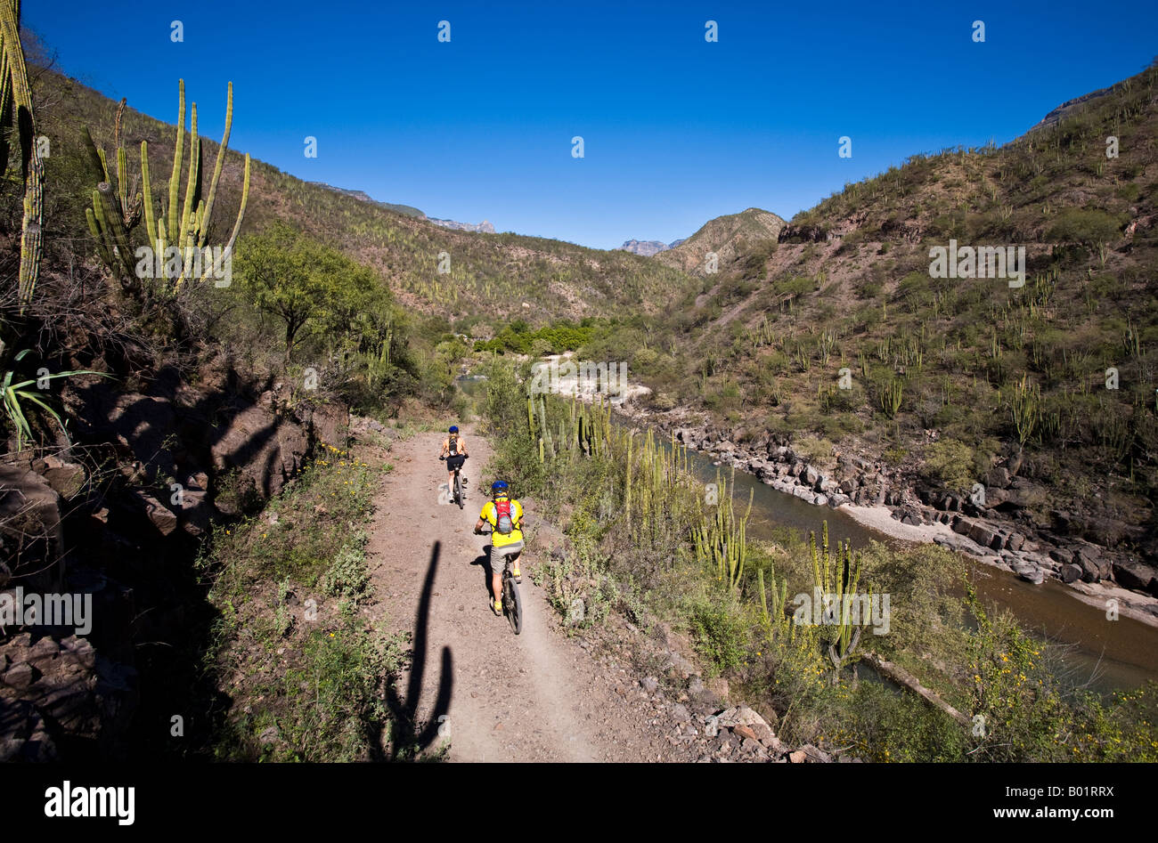 Copper canyon mexico trail hires stock photography and images Alamy