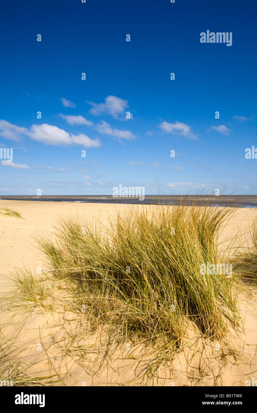 Sand Dunes on beach Stock Photo - Alamy