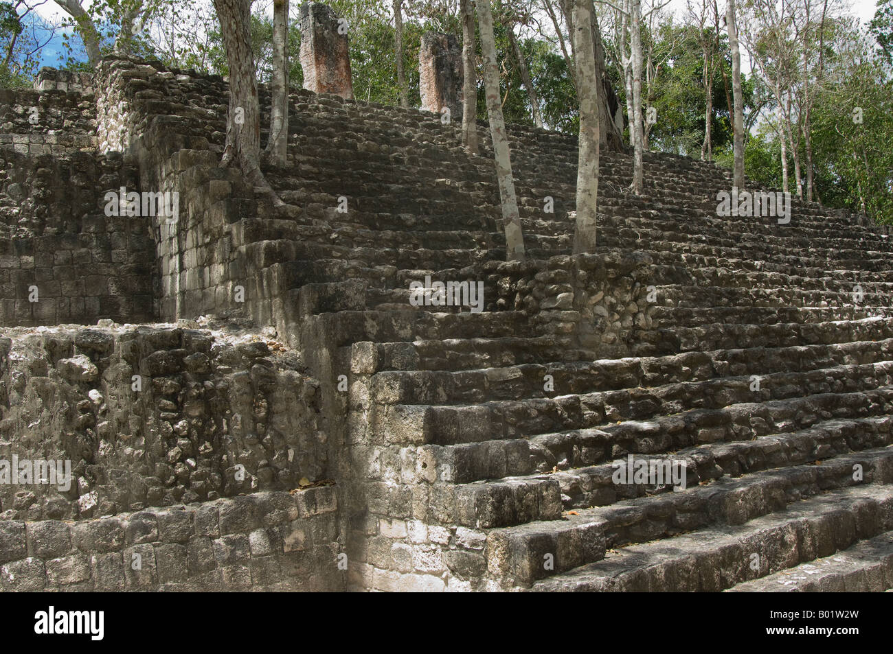 Maya ruins Calakmul Stock Photo
