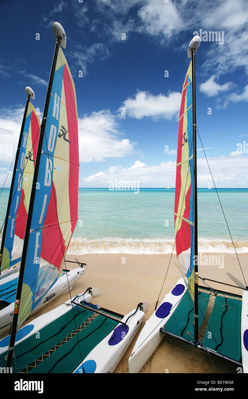 Windsurf boards on the beach, Blue Waters, Antigua Caribbean Stock