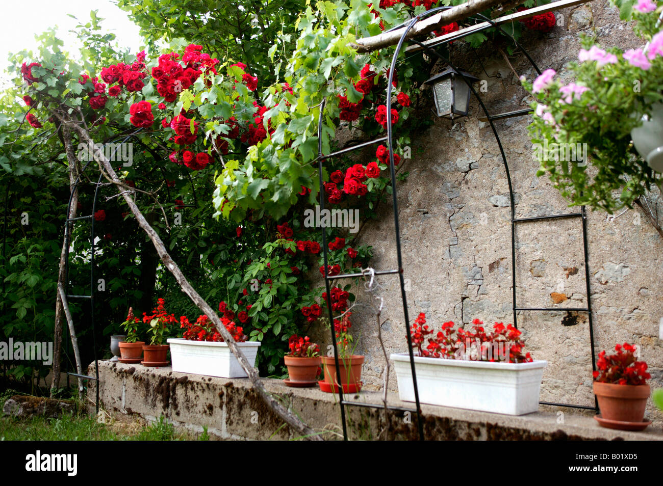 Mur Fleuri De Printemps Garden Garden Element Garden Elements Garden Stock Photo Alamy