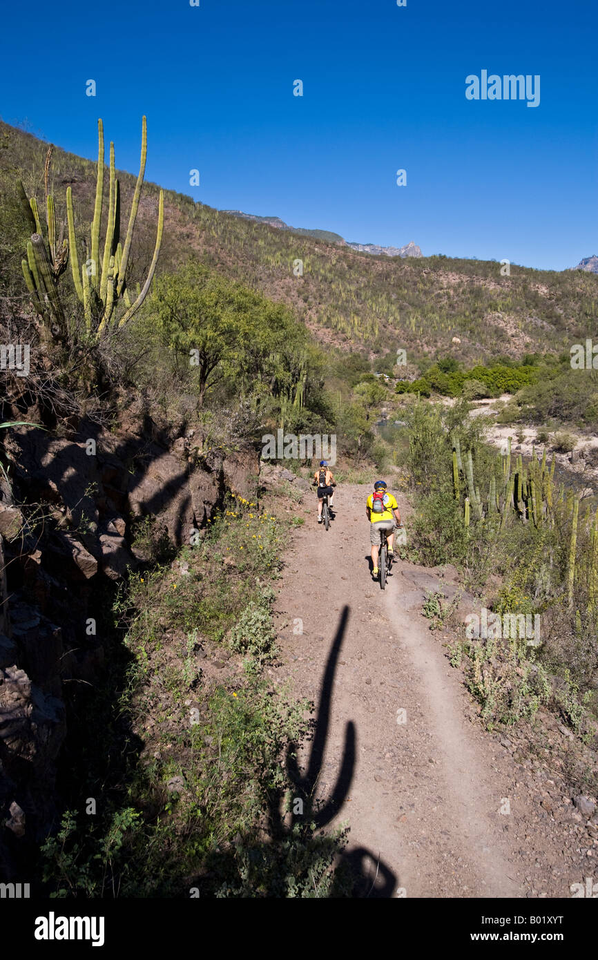 Mountain biking from Batopilas to Cerro Colorado in the Copper Canyon area of Mexico Stock Photo
