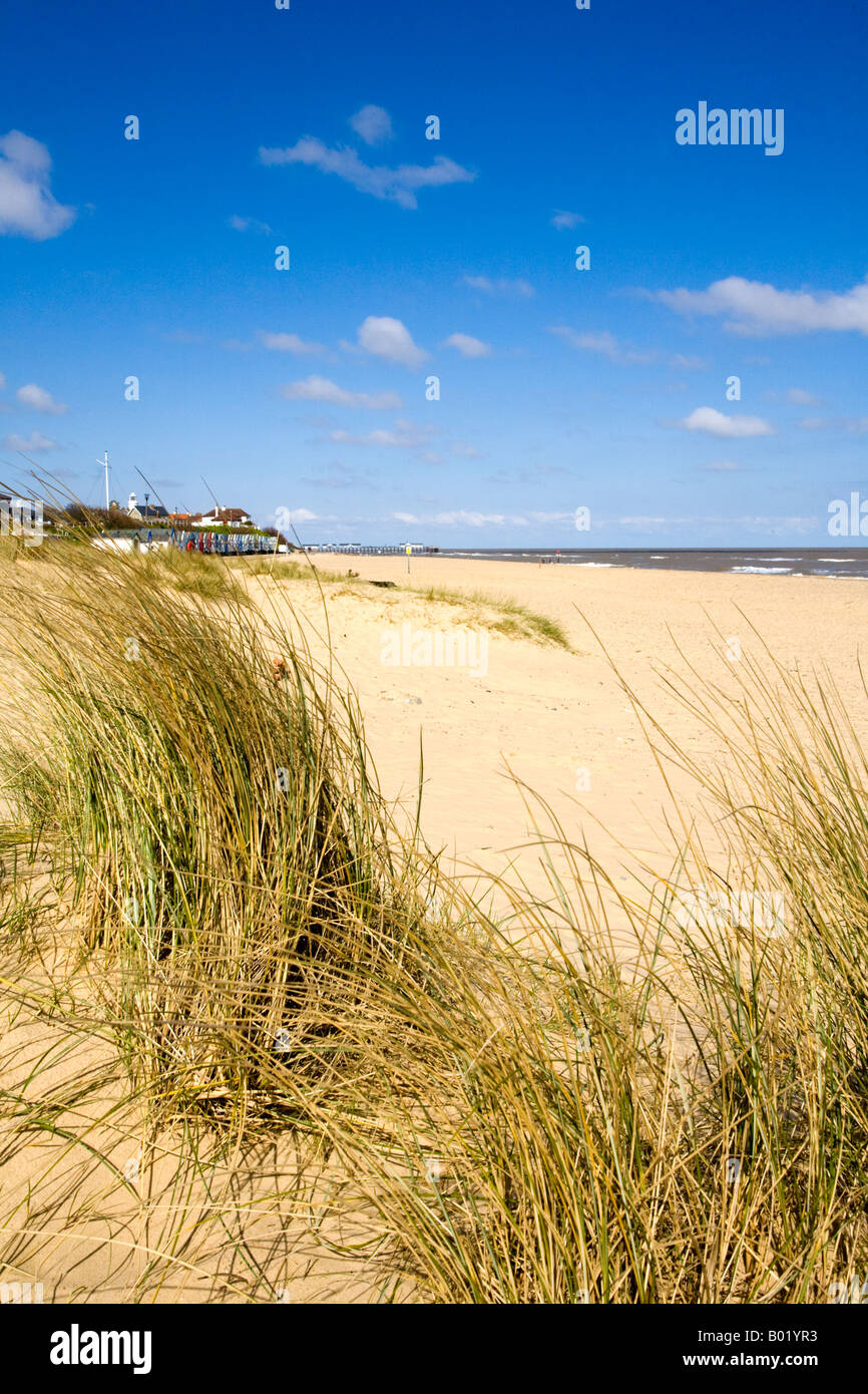 Sand Dunes on beach Stock Photo - Alamy
