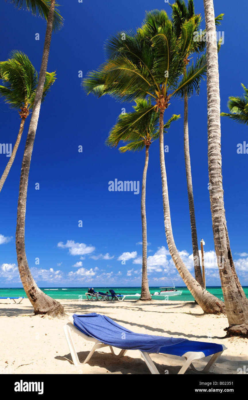 Sandy beach on Caribbean resort with tall palm trees Stock Photo Alamy