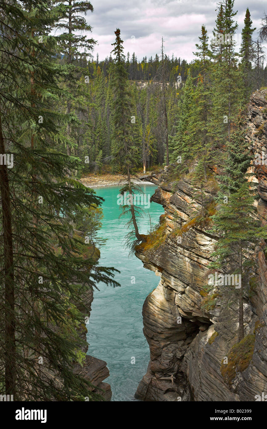 Falls Athabasca in a deep canyon in the north of Canada Stock Photo