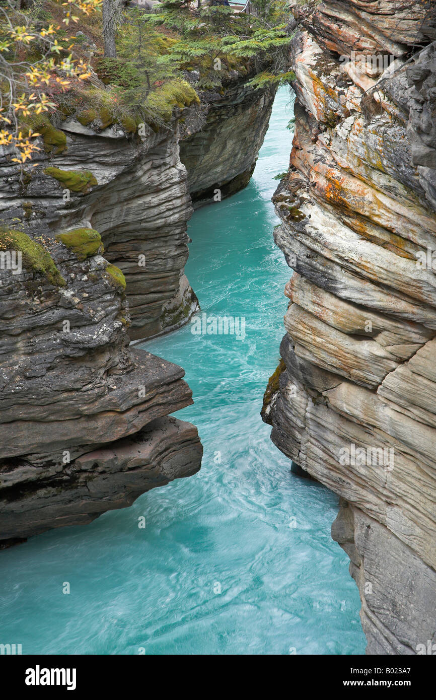 Falls Athabasca in a deep canyon in the north of Canada Stock Photo