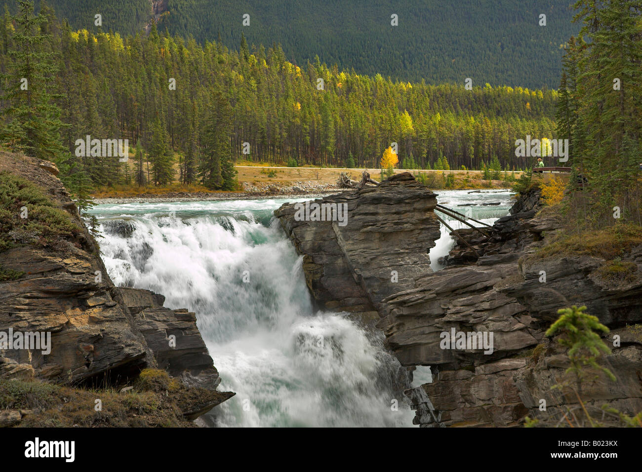 Falls Athabasca in a deep canyon in the north of Canada Stock Photo